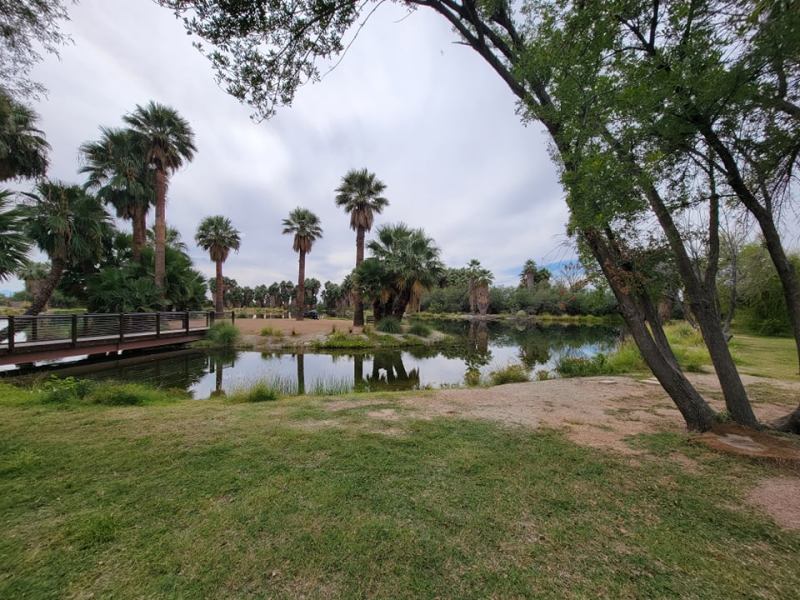 An Oasis in the&nbsp;Desert